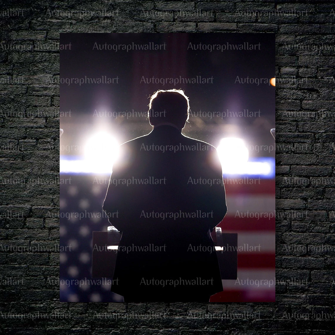 Donald Trump 2024 rally daylight canvas print – 8x10 inch patriotic campaign wall art